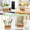 With Wood Stand Hydroponics Plants Glass Terrarium Adjustable Transparent Propagation Tube  Desktop