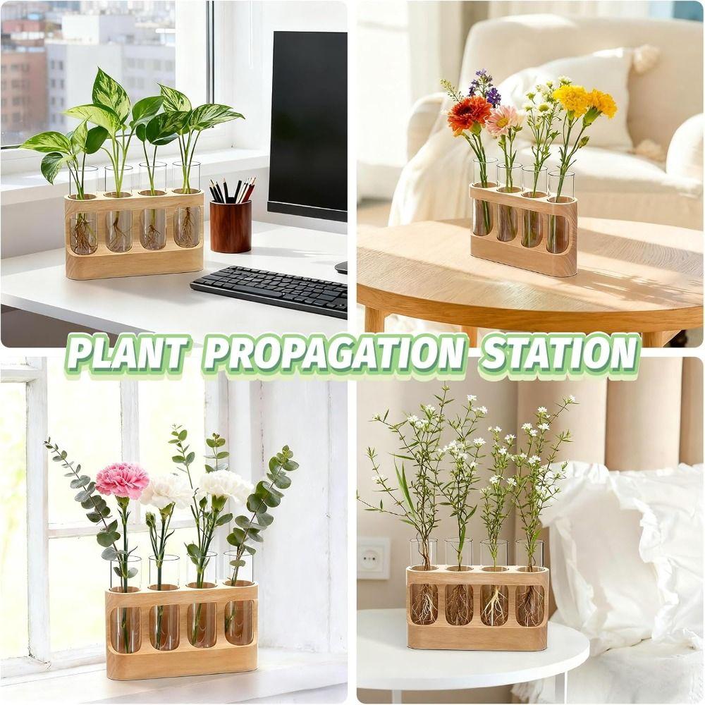 With Wood Stand Hydroponics Plants Glass Terrarium Adjustable Transparent Propagation Tube  Desktop