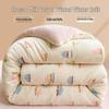 Thickened Velvet Quilt: Warm Coral Fleece for Winter, Spring, and Autumn