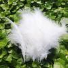 50Pcsdiy Color Feather Full Fleece Turkey Feather Clothing Antique Headdress Pet Toy Handicraft Decoration