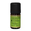 Primavera Aroma Rosmarin Cineol Marokkanisches Öl 5ml
