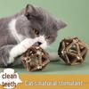 Catnip & Polygonum Teething Ball Toy for Kittens