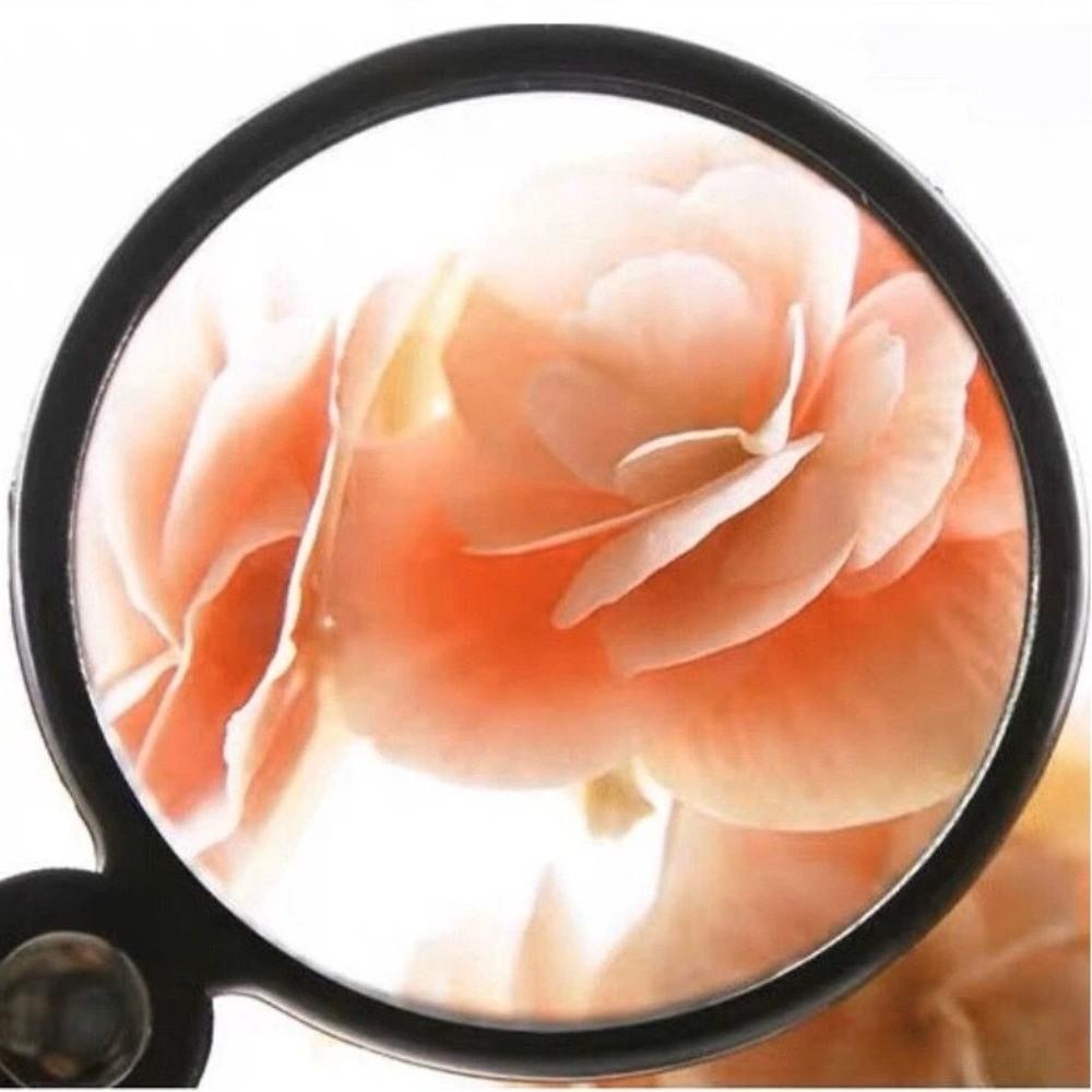 Handheld Small Magnifying Glasses Leather Protective Case Folding Magnifying  Reading