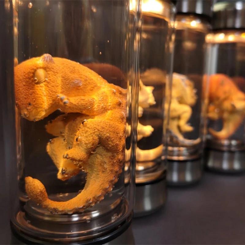 

Парк Юрского периода Эмбрион Динозавра Светящаяся банка Мир Юрского периода Велоцираптор Синяя банка Эмбрион Фильм Реквизит Реплика