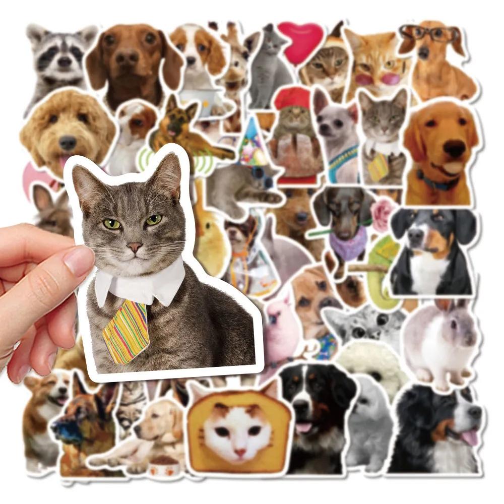 10/30/50pcs Funny Animal MEME Cat Dog Graffiti Stickers Cute Decoration Toy Decals DIY Notebook Phone Luggage Waterproof Sticker