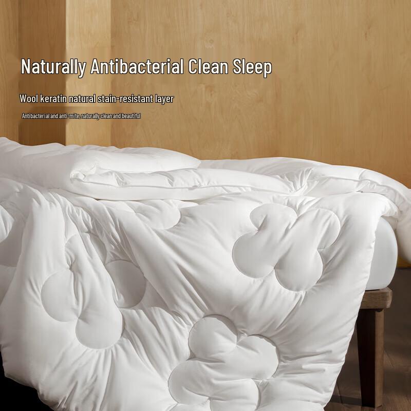 Aimeijia Deep Sleep Warm Wool Blend Quilt