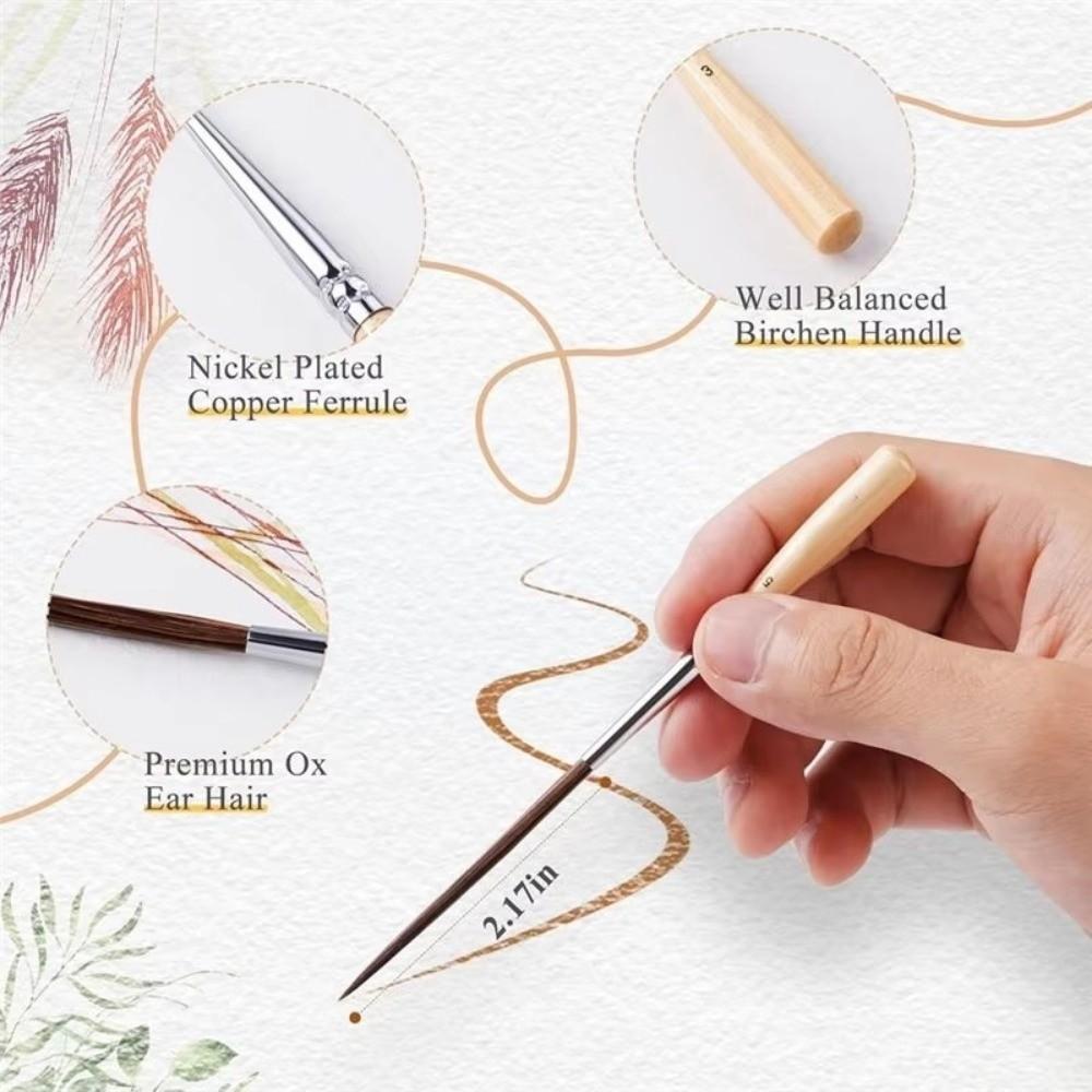 5Pcs Soft Elastic Bristles Long Line Brush Set Wood  Handle Watercolor Drawing Brushes  Marking