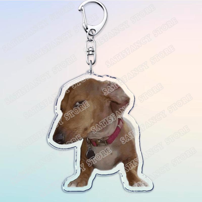 Funny Suspicious Dog Meme Face Keychains for Accessories Bag Fun Side Eye Puppy Dachshund Keyrings Jewelry Fans Friends Gifts