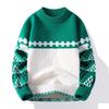 Men's Colorblock Jacquard Round Neck Pullover Sweater