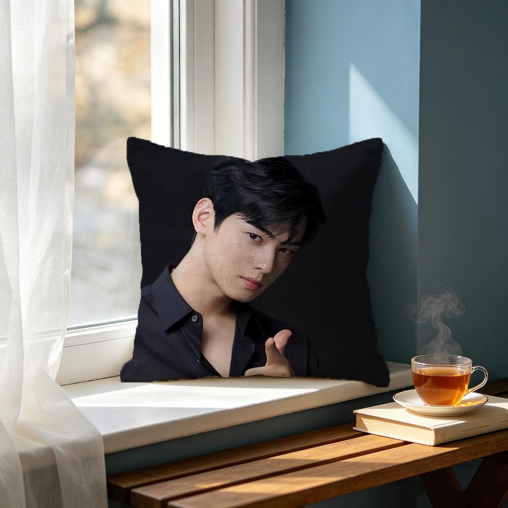 actor Cha Eun Woo Cushion Cover Cushion Cover Set  50x50 45x45 40x40 Pillowcase Decorative Sofa Home Decor