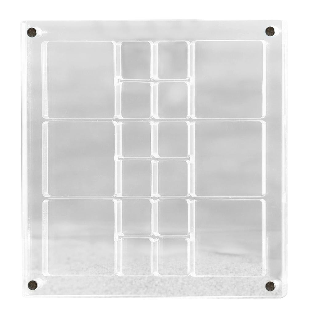Acrylic Magnetic Seashell Display Box Large Size Seashell Storage Box Multipurpose Small Craft Organisers