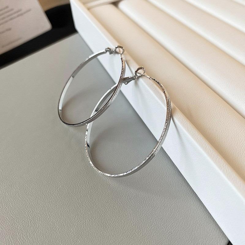Silver Needle Autumn and Winter Metal Earrings Earrings Niche Fashion Cold Wind Earrings Versatile Light Luxury Premium Earrings