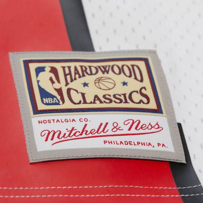 Swingman Mesh Jersey Chicago Bulls 1997 Dennis Rodman