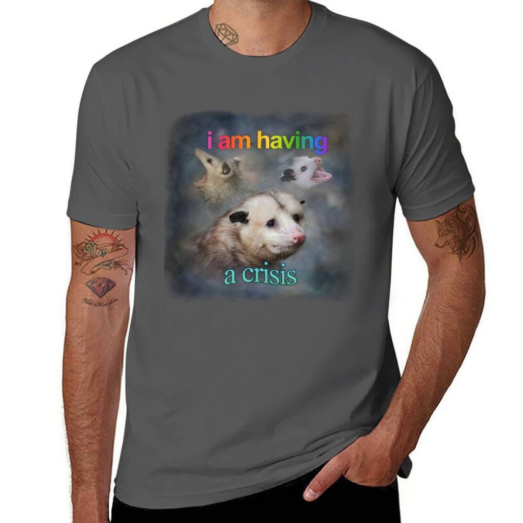 I Am Having A Crisis Possum Word Art Tshirt Retro Graphic Print Tshirt