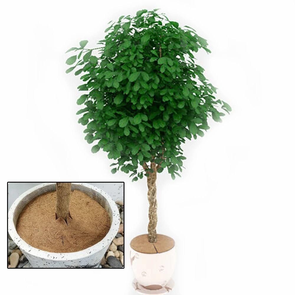 Anti Grass Tree Mulch Ring Thick Weeding Barrier Flower Pot Leak-proof Mat Garden Accessories