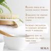 Wet and Dry Body Brush Exfoliator Soft Bristle Brush Naturally Exfoliates Dead Smooths Slows and Stimulates Lymphatic and Blood Flow by Scala 5 X