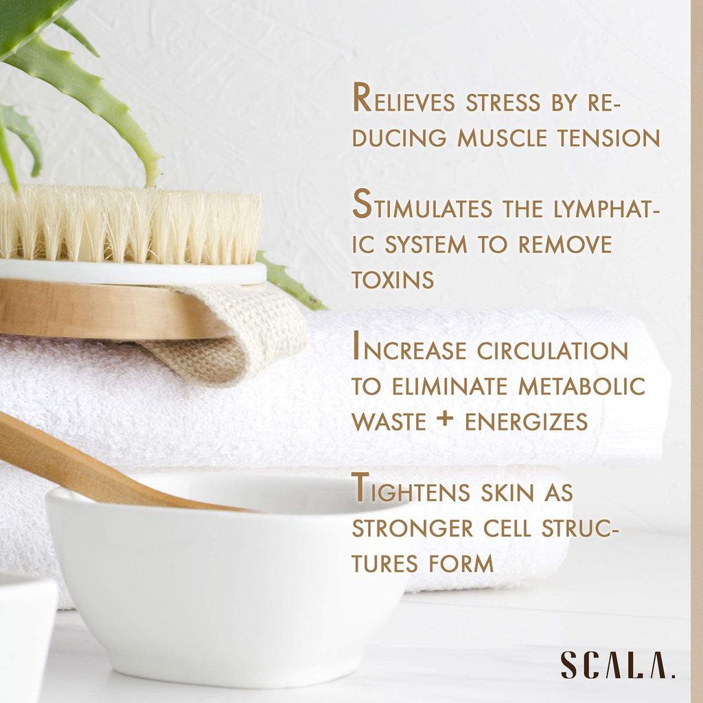 Wet and Dry Body Brush Exfoliator Soft Bristle Brush Naturally Exfoliates Dead Smooths Slows and Stimulates Lymphatic and Blood Flow by Scala 5 X