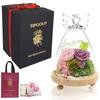 Preserved Flowers Birthday Flower Gift Angel-shaped Glass Dome with Special Box Light Purple Pink