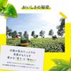 Lipton Yellow Label Tea Bags One Cup Individual Packaging Bulk Purchase Large Capacity Time Home Cafe Office Guest Use Commercial Standard