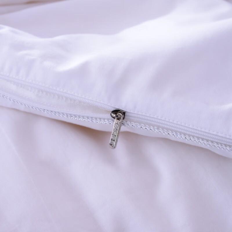 HEJIAN Comfort Series All-Season Tussah Silk Quilt