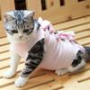 Bequeme Haustierkleidung für die Genesung nach Katzenoperationen, Leckschutz, Anzug für Hunde nach Kastration/Sterilisation, Haustierzubehör