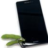 Food replica strap Edamame beans that look like they could eat them 016TS - -