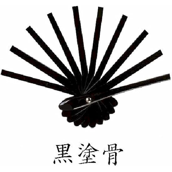 Asakusa Kimono Market Dance Folding Fan, Ivory with Holographic Streamline Pattern, Black Lacquered 