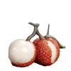 Ornamento de Frutas que Muda de Cor para Animal de Estimação