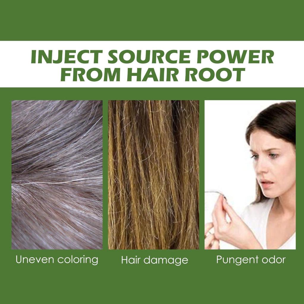 Soin Capillaire Mousse Botanique Cheveux Noirs Naturels Cheveux Auburn Beauté Soin Capillaire Couleur Facile Longue Durée Doux et Non Irritant