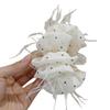 Korean Polka Dot Feather Hair Claw for Women - High-End Mesh Flower Hairpin Accessory