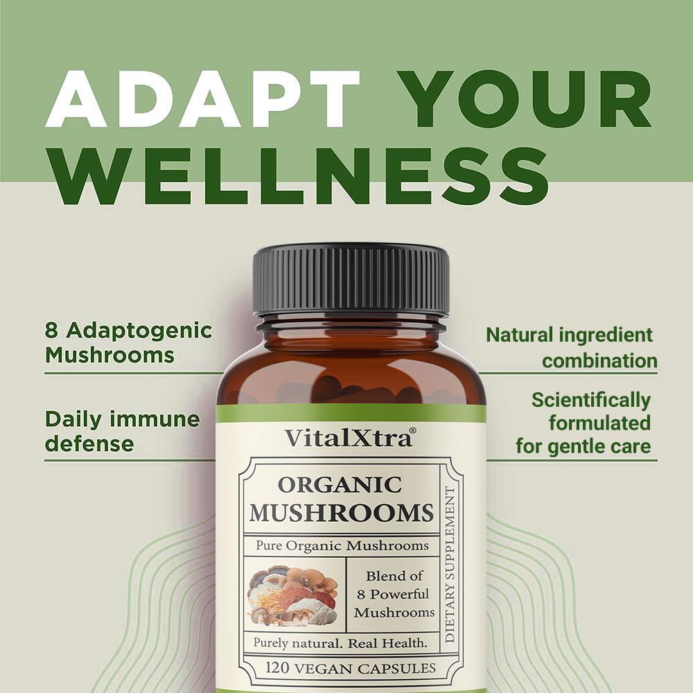 Bio 8-Pilz-Komplex-Mischung 120 Vegane Kapseln Nahrungsergänzungsmittel