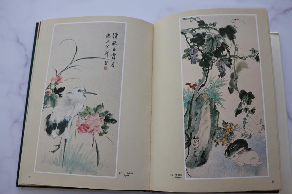 [USED] Shao Yuxuan Art Book Taiwan