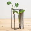 Terrarium with Metal Stand, Air Er Bulb Glass Vase Holder Retro Tabletop for S Home and Garden