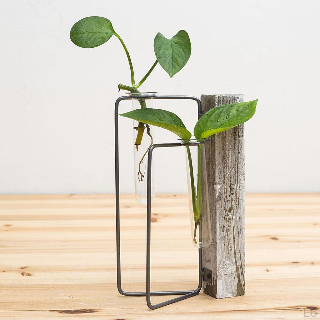 Terrarium with Metal Stand, Air Er Bulb Glass Vase Holder Retro Tabletop for S Home and Garden