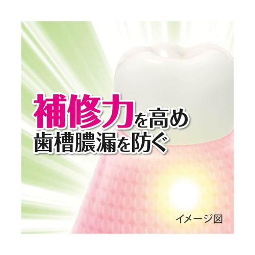 Shoyo Medicated Toothpaste, 10% More Strength, 110g, Set of 3. Prevents Pyorrhea, Accompanied by Swelling and Bleeding Gums. Contains Five Natural Pla