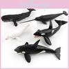 Blue Whale Marine Animal Pvc Model Collection For Kids Educational Display Toys