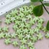 20pcs Ceramic Ceramic Spacer Loose Beads Fresh Color Jewelry Making Material Starfish Bead  Student