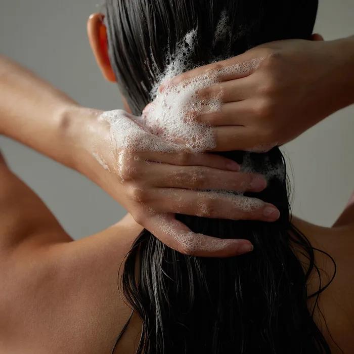Anti Dandruff Scalp Shampoo 500g