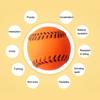 Vinylová Baseballová Pískací Hračka pro Psa Odolná proti Kousnutí Interaktivní Hračka pro Mazlíčky Malé Střední Velké Psy Hračka na Prořezávání Zubů Čistící Hračka