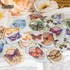 Pastoral Diary Momo Sticker Pack: Retro Artistic Plant Journal DIY Collage Material (6 Styles)