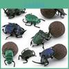 Realistic Pvc Insect Models Set With 8 Unique Beetle And Dung Beetle Figures For Collectors