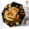 Accesorii – Umbrele