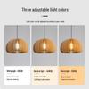 60cm Vintage Pumpkin Pendant Lamp with 3-Color Dimming and Adjustable Arm