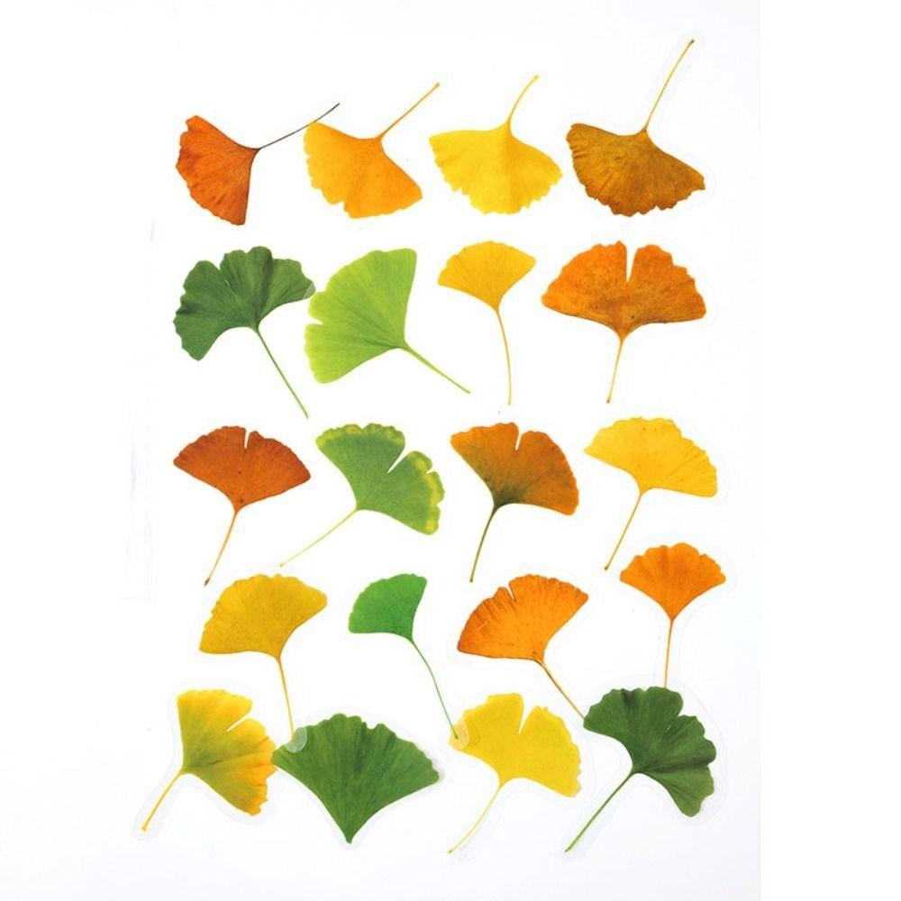 40PCS Green Leaf Maple Leaves Leaf Stickers Plant PET Scrapbook Stickers Nature Diary Stickers Album Journal Turtle Leaf Sticker