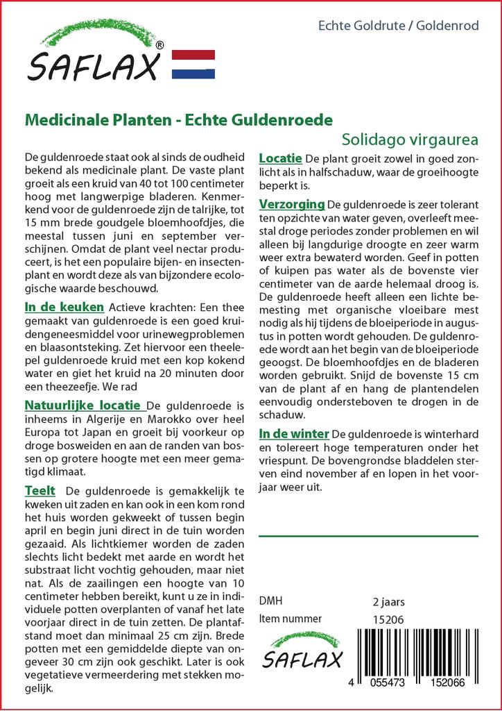 SAFLAX Zahrada v pytli - Zlatobýl - 100 semen - Se substrátem v přiléhavém sáčku - Solidago virgaurea