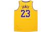 Nike NBA LA Lakers Lebron James Icon Edition Swingman Jersey 'Yellow'