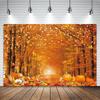 Autumn Thanksgiving Pumpkin Party Photo Backdrop Yellow Leaves Tree Photography Background for Family Photocall Photo Studio