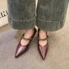 Retro French Single Shoes Women's New Autumn Thick Heel Pointed Toe Slip-On Flat Laced Shoes