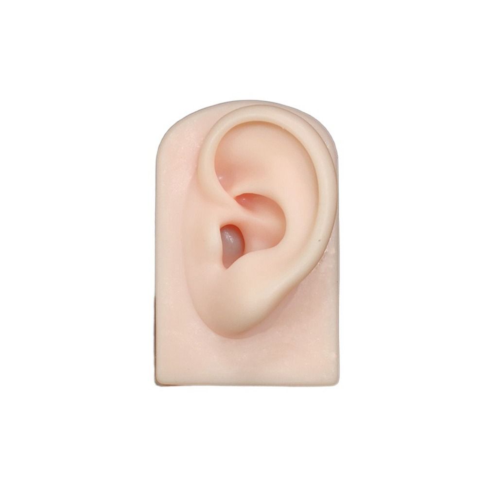 Tools Body for Hearing Teaching Simulation Ear Jewelry Earrings Display Silicone Ear Model Fake Ear