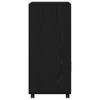 Open Storage Locker, Black Movable Storage Cabinet with Wheels, 2-tier Storage, with Double Door Storage Space, 55x40x91 Cm